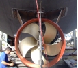 thumbnail of RIB